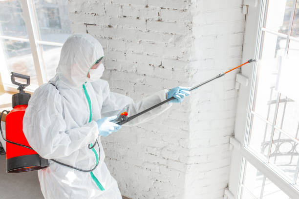 Best Asbestos and Lead Testing During Mold Inspection  in Mount Carroll, IL