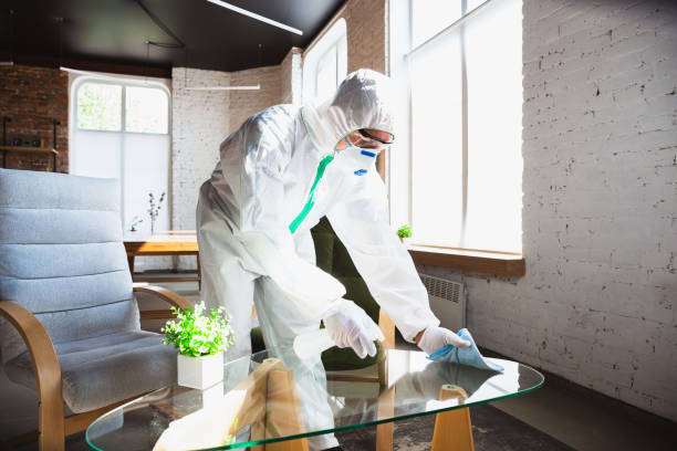 Best Emergency Mold Remediation  in Mount Carroll, IL