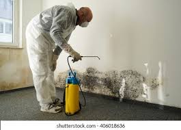  Mount Carroll, IL Mold Removal & Remediation Pros